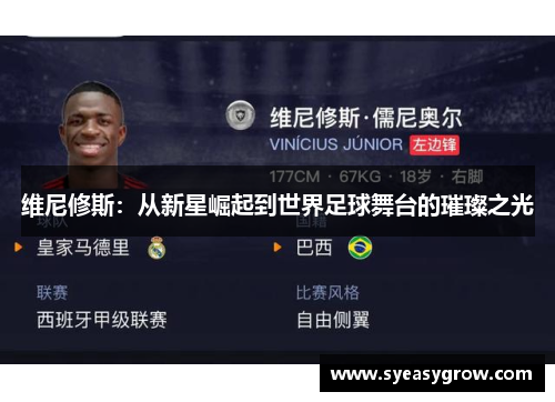 维尼修斯:从新星崛起到世界足球舞台的璀璨之光